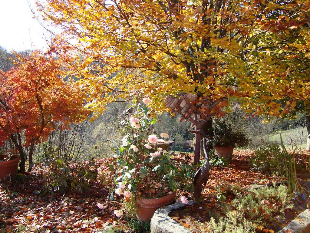 Cascina Nel Bosco Bed & Breakfast Moncucco Torinese Exterior photo