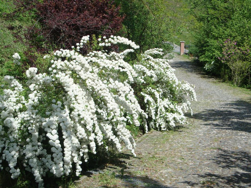 Cascina Nel Bosco Bed & Breakfast Moncucco Torinese Exterior photo